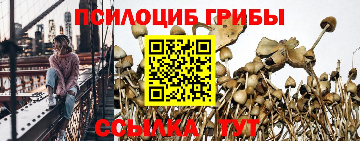 Ухта  Псилоцибиновые грибы GOLDEN TEACHER  Вход с VPN 